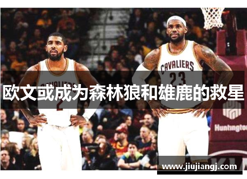 欧文或成为森林狼和雄鹿的救星